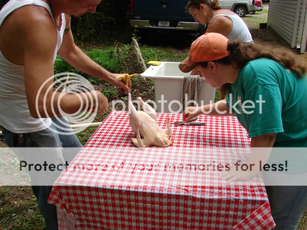 Chicken Butchering tools BackYard Chickens Learn How to Raise Chickens